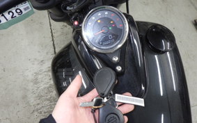 HARLEY FXFB1750 2019