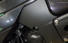 KAWASAKI ZX 1400 NINJA R A 2019