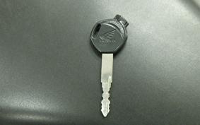 HONDA ﾀﾞﾝｸ 2000 AF74