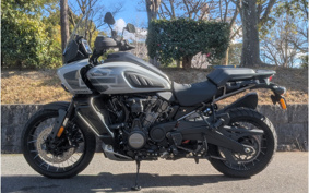 HARLEY PAN AMERICA 1250 SPECIAL 1994 ZES