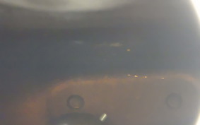 TRIUMPH DAYTONA660 2025