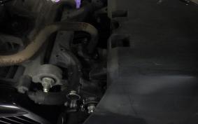 HONDA TACT Basket AF79