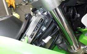 KAWASAKI KLX230 2010 LX230A