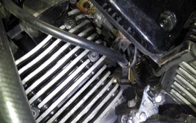 KAWASAKI ELIMINATOR 250 V