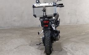 SUZUKI DL1000 ( V-Strom 1000 ) DD111