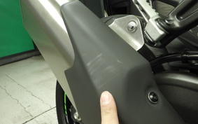 KAWASAKI ZX-4RR 2024