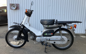 HONDA SUPER CUB50 C50