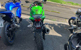 KAWASAKI NINJA 250 EX250L