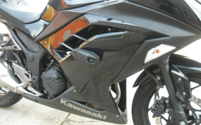 KAWASAKI NINJA 300 2013 EX300A