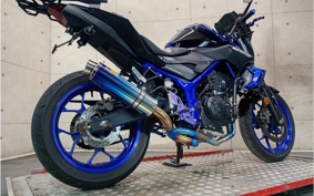 YAMAHA MT-25 RG43J