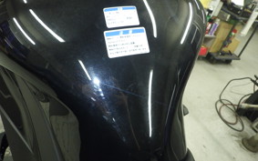 KAWASAKI NINJA 1000SX 2024