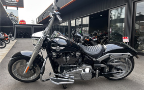 HARLEY  HARLEY FLFBS 2021 YGK