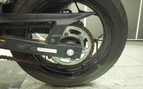 KAWASAKI NINJA 250 EX250L
