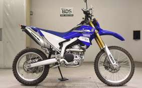 YAMAHA WR250R 2022 DG15J
