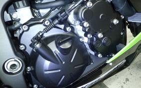 KAWASAKI NINJA ZX-6R A 2025 ZX636J