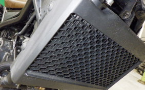HONDA REBEL 250 S 2000 MC49