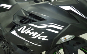 KAWASAKI NINJA 250 2011 EX250P