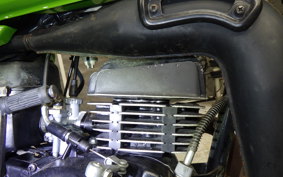 SUZUKI TS50 Hustler 2017 TS503