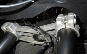 KAWASAKI NINJA 1000SX 2023 ZXT02K