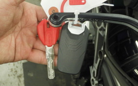 DUCATI DIAVEL X S 2019