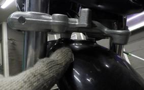 HONDA MONKEY 2011 Z50J