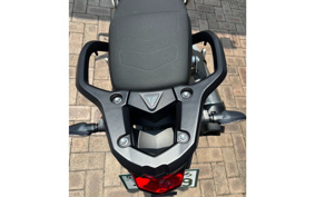 TRIUMPH TIGER 900 RALLY PRO 2025 TRC83D