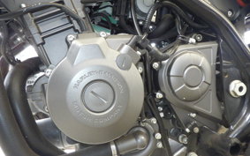 HARLEY X350 2024