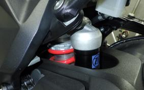 MV AGUSTA BRUTALE 800 DS RR 2020