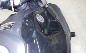 YAMAHA MT-25 2013 RG10J