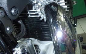 KAWASAKI W800 2020 EJ800B