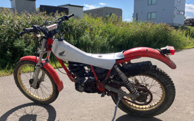 HONDA TLR200 MD09