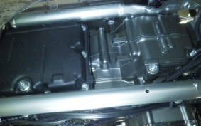 OTHER +HD. FLSTFI1920 2018