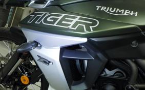 TRIUMPH TIGER 800 2019