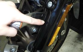 HARLEY FLHXST1920 2022