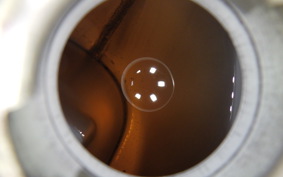 YAMAHA MATE 50 2016 UA04J