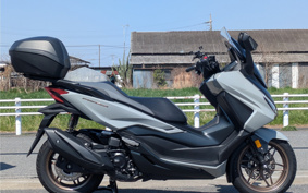 HONDA  FORZA 250 MF17