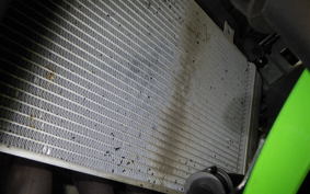 KAWASAKI ZX-4RR 2023 ZX400P