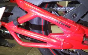 OTHER メガリ 250R 2011