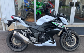 KAWASAKI Z250 ER250C