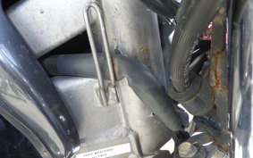 YAMAHA ZEAL 3YX