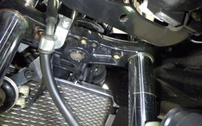 SUZUKI GSX250R 2021