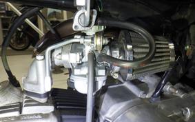 OTHER +UNREGISTERED MODEL by BDS50