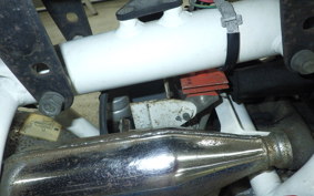 HONDA MONKEY Z50A