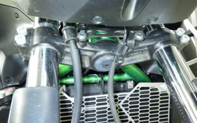 KAWASAKI Z650 A 2024 ER650S