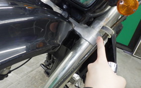 SUZUKI 250SB 2008 LX250L