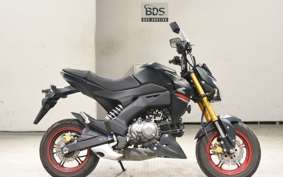 KAWASAKI Z125 PRO BR125H