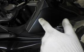 KAWASAKI NINJA ZX-6R A 2019 ZX636G