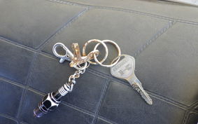 KAWASAKI Z550 GP KZ550H