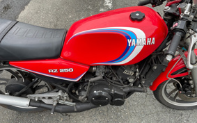 YAMAHA RZ 250 4L3