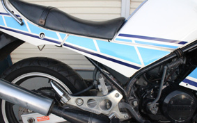 YAMAHA RZ250R 29L